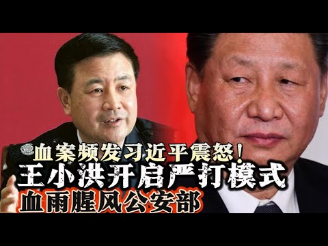 血案频发习近平震怒 野心与手腕：血雨腥风公安部 王小洪开启严打模式