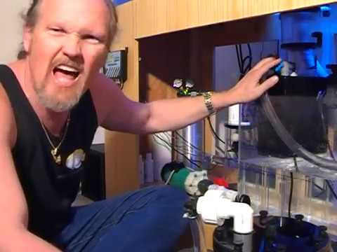 Life Reef Protein Skimmer  & Calcium Reactor, LA Fishguys, Episode 54, Part 1