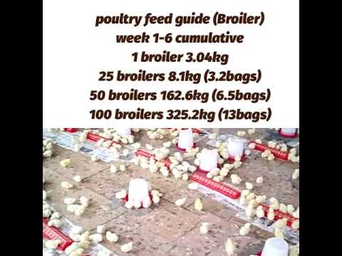 Total broiler consumption for first 6 weeks.