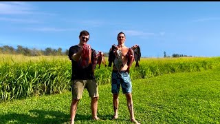 Spearfishing a wild new zone on Hawaii’s beautiful coast -catch & cook-