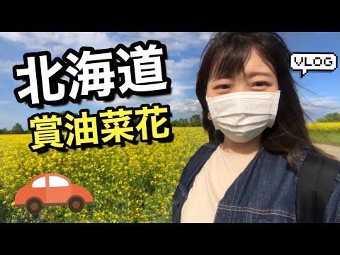 【北海道日常Vlog】到北海道的鄉間賞油菜花吧 😋還有吃吃看岩瀨牧場的香濃冰淇淋🍦 日本生活｜ Kayo Channel