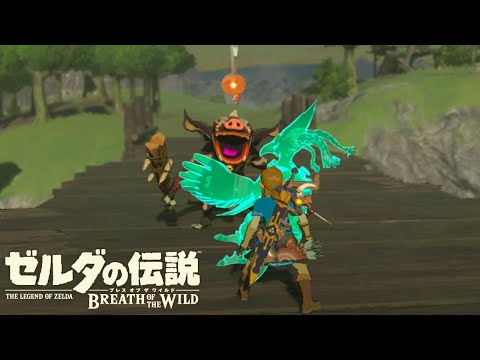 Overprotection of Champion Revali【The Legend of Zelda: Breath of the Wild】