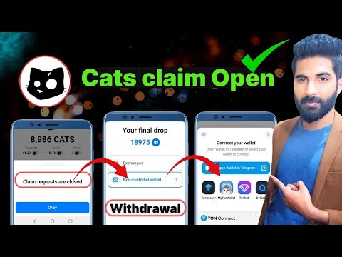 cats token withdrawal on-chain ☑️ cats on chain claim | cats token withdraw to tonkeeper