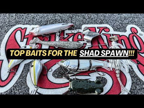 Top Baits for the Shad Spawn!!! [You Need These Baits!!]