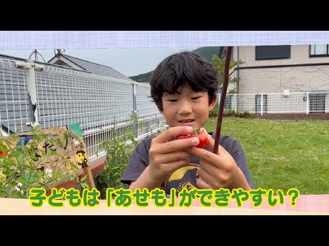 【公式】「子どもは 『あせも』ができやすい？」（8月4日放送）｜テレビ西日本