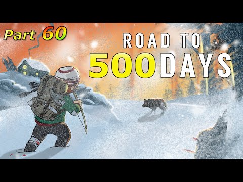 Road to 500 Days - Part 60: The Bear