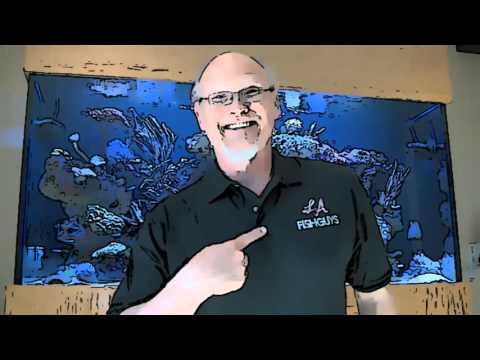 Neptune Systems APEX Aquarium Controller, Firmware Update, Tech Talk pt 3