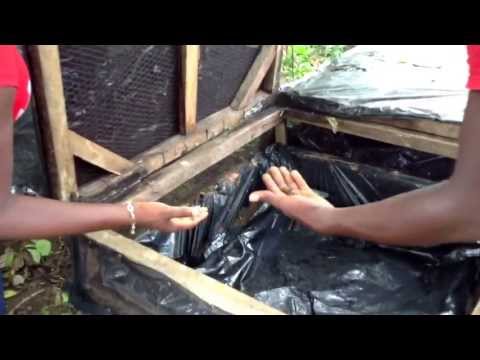 Myrtles free range snail farm in port harcourt , Nigeria