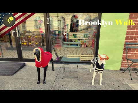 Walking - Prospect heights and Park slope, Brooklyn - NYC 4K ,