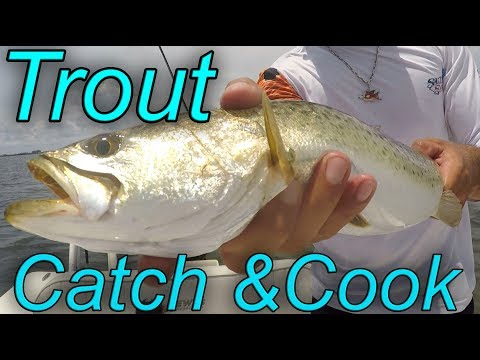 Trout Catch & Cook | We Tried To Go Grouper Fishing