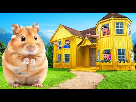 I Built A $100,000 Golden Hamster House