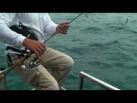 FISHING BUDDY-Desaru Fishing 2010.wmv