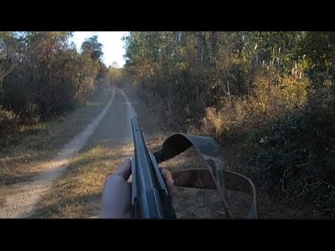 SC Deer Dog Drive 11/20/21: Great races on family day!