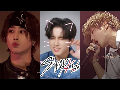 Stray Kids 스트레이 키즈 HAN JISUNG tiktok ⭐ #1