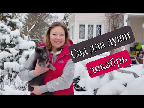 Сад для души в декабре | Зимний сад | Зима на даче 2021, 18+