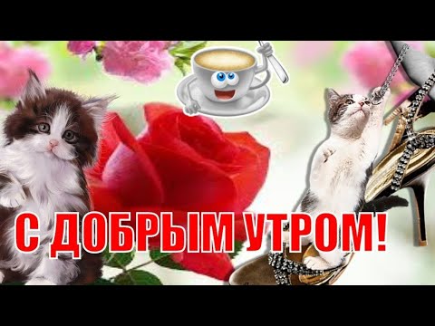 С Добрым Утром и Хорошим Днем! / Красивая песня! / Только послушайте! / С Добрым Утром!