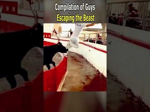 Compilation of Guys Escaping the Beast