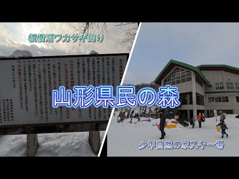 冬の県民の森探索してみた（板橋沼ワカサギ釣り＆少年自然の家スキー場）