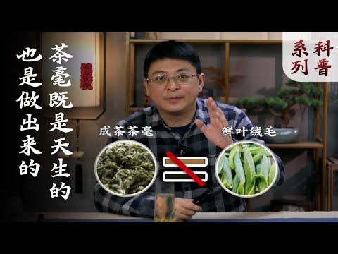 茶叶上的茶毫到底是什么？