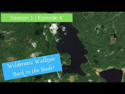 S1 E4 Headed back to the bush for another wilderness fishing adventure!