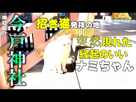 【開運】この動画にたどり着いた方、運気が上がります。最強の招き猫が降臨！【今戸神社#1】