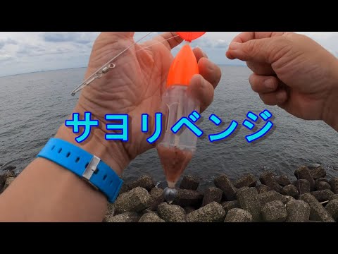 【秋サヨリ】春サヨリのリベンジへ