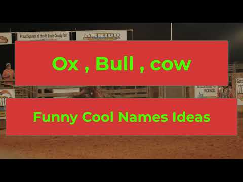 Bull Names. Cow & ox name ideas. Strong Bull Names. Cow names Male & Girl.