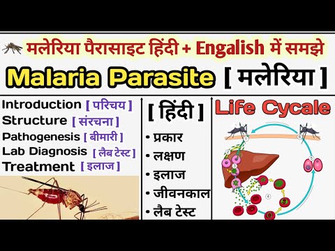 Malaria Parasite in hinid | Malaria Life Cycle | Plasmodium | Treatment of malaria | मलेरिया क्या है