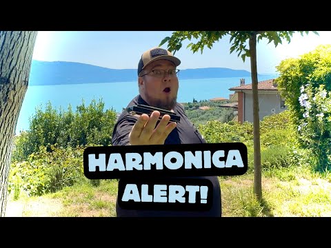 Playing the Harmonica | feat. Bassfahrer | Thomann