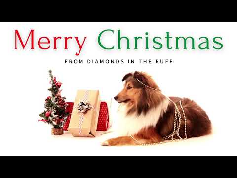 Merry Christmas From Diamonds in the Ruff