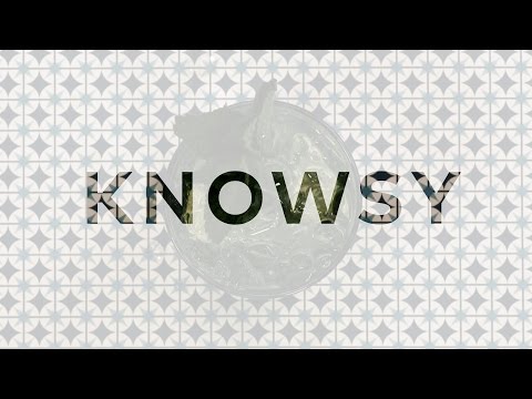 Welcome to Knowsy!