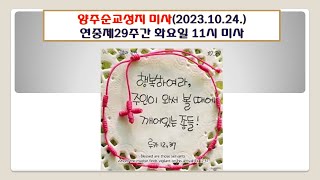 양주순교성지 미사(연중제29주간 화요일 11시 미사 2023.10.24.)