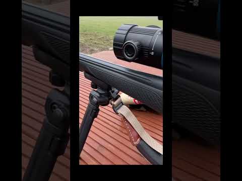 Zeroing the Pard 640Z thermal riflescope on the Sauer 100 Keeper in 223