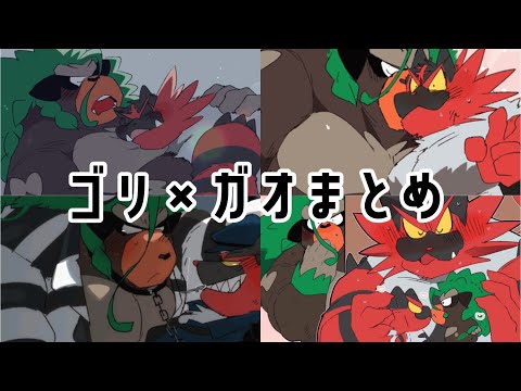 【2023】ゴリ×ガオまとめ【🦍🐱🦍】