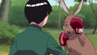 Rock Lee vs Kangaroo