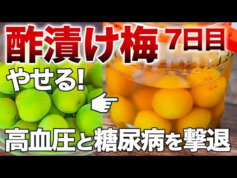 【酢漬け青梅】酢とのダブル効果がすごい！やせる・血圧・血糖値改善！最強梅干しを7日で作る【管理栄養士】