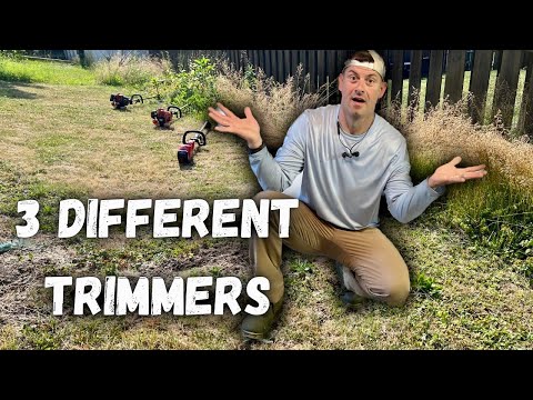 Can THESE 3 TRIMMERS Clean Up This Fence Line?