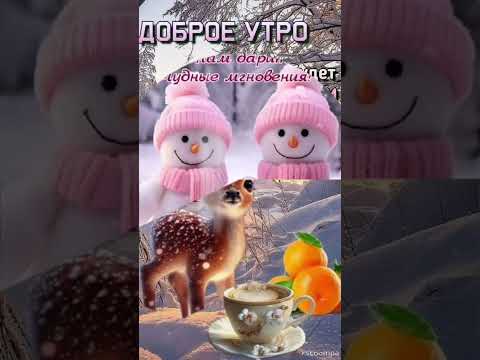 Пусть день будет ясным и тёплым 💖Доброе утро😍