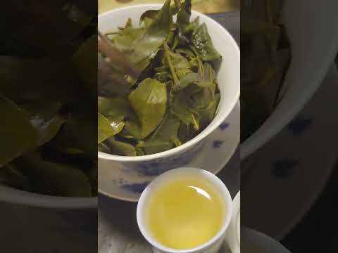 認識高山茶，一心三葉。