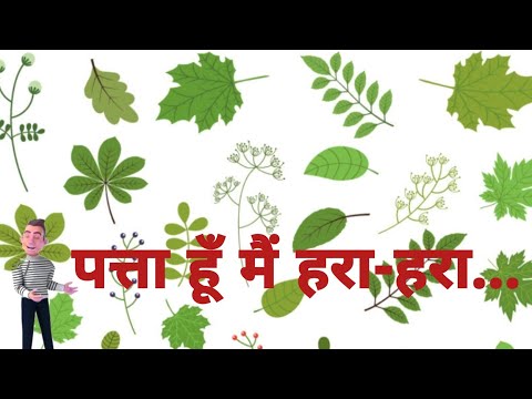 पत्ता हूँ मैं हरा-हरा | Patta hun main hara hara | Pata hu mai hara hara | Leaves poem