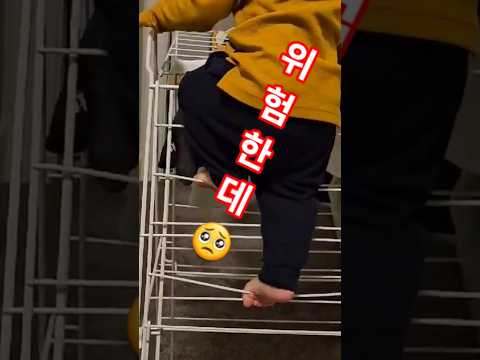 상남자 라면 올라가야지!? #아기 일상 #아기 #shorts #오르기 #빨래건조대 #등산 #캐나다 #cute #baby #14개월아기