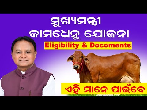 Mukhyamantri Kamadhenu Yojana Odisha / How To Apply Kamadhenu Yojana Scheme/ Odia Shikha