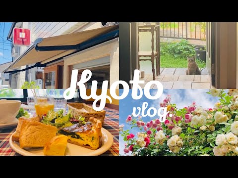 初夏の京都vlog🎐｜人気パン屋さんめぐり🥖