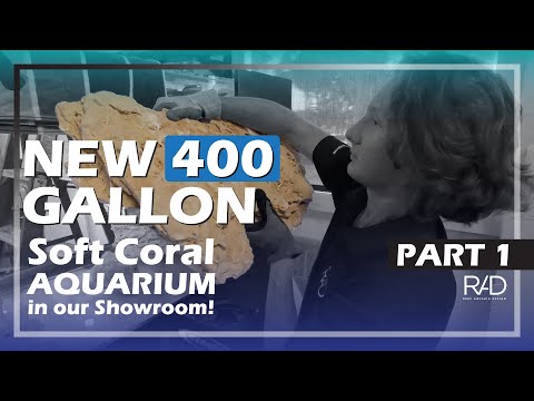 INTRODUCING OUR NEW 400 GALLON SOFT CORAL AQUARIUM IN OUR REEF AQUARIA DESIGN SHOWROOM. PART 1