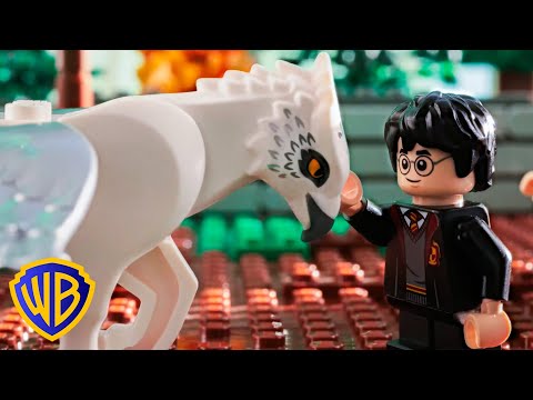 Cuidado de las criaturas mágicas | Harry Potter Momentos Mágicos del Cine | @WBKidsLatino