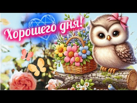 Пусть сегодня исполнится какая-нибудь твоя мечта! 💫 ХОРОШЕГО ДНЯ! ПРЕКРАСНОГО НАСТРОЕНИЯ ☀️🐞☕🎶