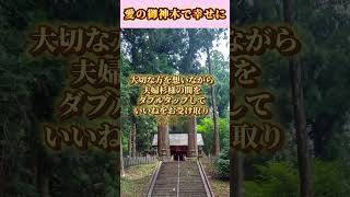 【10秒参拝】愛の波動で幸福に包まれましょう。