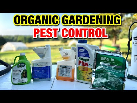 EVERYTHING YOU NEED TO KNOW ABOUT ORGANIC GARDENING PEST CONTROL