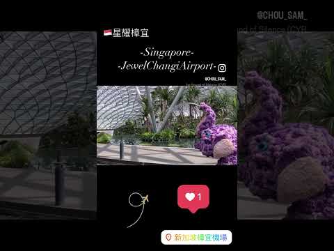 🇸🇬星耀樟宜Jewel Changi Airport星耀樟宜擁有全世界最高的室內瀑布「雨漩渦」，高度達40公尺，瀑布從屋頂圓形缺口處傾瀉而下。室內種滿多種綠色植物，是一座大型複合商場。