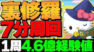 裏修羅を7分台周回！編成難易度低め&代用解説！サレーネキティ編成！難民は絶対に見ろ！【パズドラ】